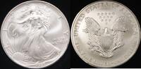 Bullion American Silver Eagle ASE BU in Deluxe Case -