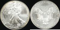 Bullion American Silver Eagle ASE BU in Deluxe Case -