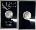 Bullion American Silver Eagle ASE BU in Deluxe Acrylic Case and Sleeve -