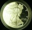 Bullion 1999-P Proof American Silver Eagle S$1 1 Oz Troy .999 Fine With COA & OGP -