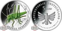 BRD 5 Euro Wunderwelt Insekten - Grünes Heupferd -
