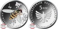 BRD 5 Euro Wunderwelt Insekten - Hainschwebfliege -