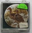 Sonstiges  Waltham 18 Size Khaki Campbell Ducks Birds Pocket Watch Porcelain Dial LW485