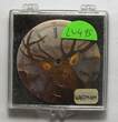 Sonstiges  Waltham 18 Size 6 Point Elk Bull Stag Color Pocket Watch Porcelain Dial LW495