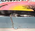 Sonstiges  Lenexa Savanna Roller Skates Ladies - Size 7 - New - Spotted Pink - BC89