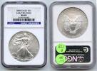 Anlagemünzen Dollar American Eagle 1 oz Silver NGC MS 69 Early Releases - P178 -
