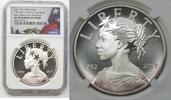 Bullion Medal 2017-W American Liberty 1 oz Silver  NGC SP 69 Enhanced Fi... 121,24 EUR  zzgl. 23,34 EUR Versand