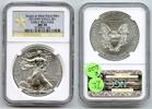 Bullion Dollar 2013(W) American Eagle 1 oz Silver  NGC MS70 Early Releas... 120,53 EUR  zzgl. 23,20 EUR Versand