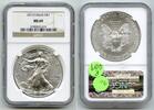 Bullion Dollar 2013 American Eagle 1 oz Silver  NGC MS69 Certified US Mi... 77,49 EUR  zzgl. 23,20 EUR Versand