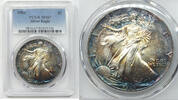 Bullion Dollar 1988 American Eagle 1 oz Silver  PCGS MS67 Toning Toned B... 430,48 EUR  zzgl. Versand