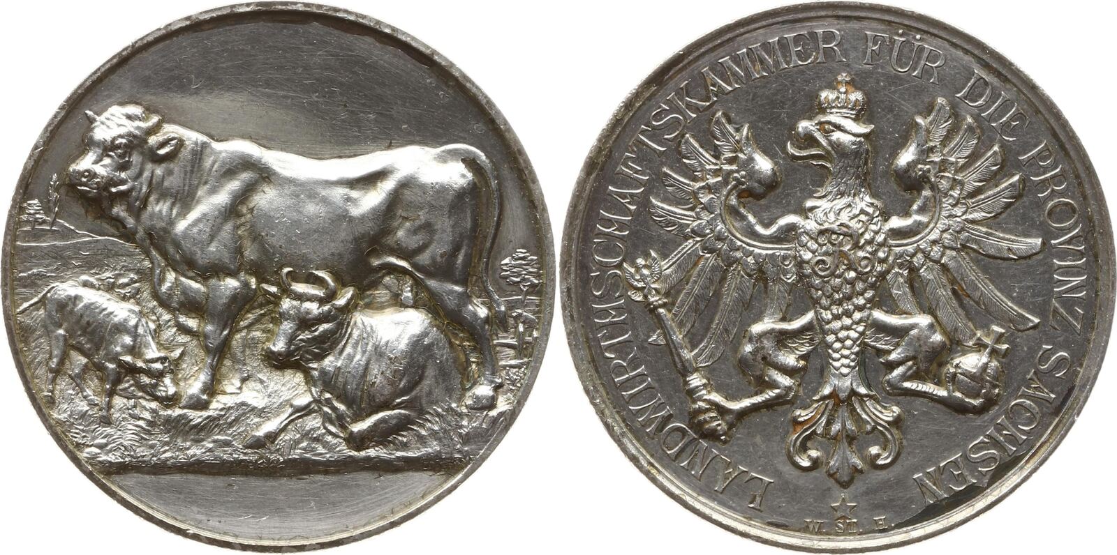 BrandenburgPreußen, Provinz Sachsen Feinsilbermedaille (990) o.J