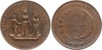 Argentinien, Buenos Aires Bronzemedaille v. Orzali, Ley del 23 de noviembre de 1895 -