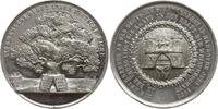 Hannover, Stadt Zinnmedaille auf das 4. Deutsche Bundesschiessen, Eiche / Burg und Wappenschild -