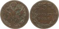 Polen unter Russland 5 Groschen (5 Groszy) Alexander I., 1815 - 1825, Warschau -