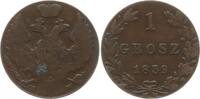 Polen unter Russland 1 Grosz Nikolaus I., 1825 - 1855, Warschau -
