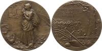 Frankreich, 3. Republik, Aisne Bronzemedaille Comice Agricole de Marle, Darstellungen in feinem Jugendstil -