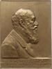 Österreich, Kaiserreich, Stadt Wien Große einseitige Bronzeplakette v. Schwartz, auf Prof. Siegmund Exner, Ritter von Ewarten, 1846-1926, Physiologe -