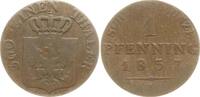 Brandenburg-Preußen Pfennig Friedrich Wilhelm III., 1797 - 1840 -