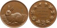 Österreich, Stadt Wien Bronzemedaille v. Oertel, Wiener Kaninchen - Züchter Verein, Für verdienstvolle Leistungen -