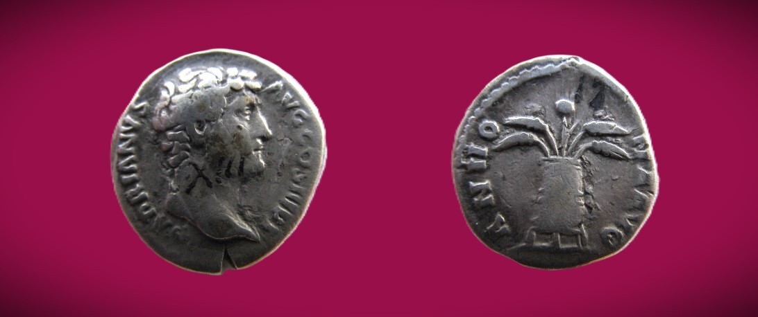 Modius Rome Antike / Rom / Römisches Kaiserreich / Roman coins AR - Denar nach 119 ...