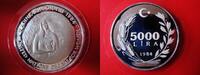 Türkei 5000 Lira Jahrzehnt der Frau, UNO, UN, Decade for women, Silber,Frau hält Emblem, selten!