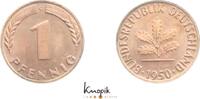 Kursmünzen 1 Pfennig -