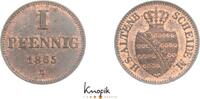Sachsen-Altenburg Cu Pfennig Ernst 1853-1908. -