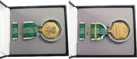 UNITED STATES OF AMERICA MEDAL MEDAL FOR MILITARY ACHIEVEMENT -