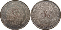 WEIMARER REPUBLIK 5 MARK RESTRIKE COPY NACHPRÄGUNG VERSILBERT BRONZE -