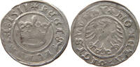 Polen 1/2 grosz Sigismund I, 1506-1548. -