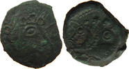 CELTIC SUESSIONES AE -