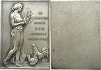 Nassau Plaquette Nassauischer Geflügelz.-Verband, Bronze -