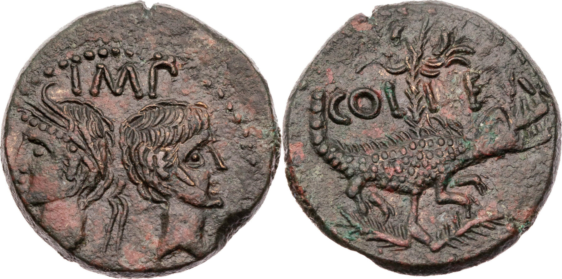 Römische Kaiserzeit Dupondius 1610 v. Chr. Nemausus, Augustus und