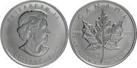 Kanada 5 Dollar Elisabeth II. (1952-2022) – 1 oz Maple Leaf - Brandenburger Tor-Privy Mark -