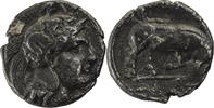 Lukanien Nomos Thurioi / Athenakopf / Stier