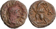Ägypten Tetradrachme Alexandria, Tacitus, Jahr 1, Büste / Adler mit Kranz -