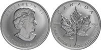 Kanada 5 Dollar Elisabeth II. (1952-2022) – 1 oz Maple Leaf - Brandeburger Tor-Privy Mark