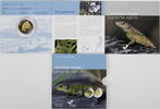 Luxemburg 5 Euro Serie Flora und Fauna Luxemburgs - Zauneidechse -