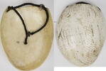 Neuguinea Brustschmuck, Schale der großen Faltenschnecke (Melo Amphora) -