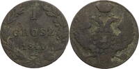 Polen 1 Grosz Nikolaus I. (1825-1855) -