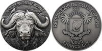 Elfenbeinküste 10000 Francs CFA 2021 Big Five - Buffalo st, in original Kapsel