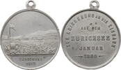 Schweiz, Zürich Medaille Zur Erinnerung an die Eisbahn auf dem Zürichsee Januar 1880 -