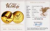 Kongo 500 Francs/ 5 Unzen 2021 Weißkopfseeadler - Bald Eagle - 5 Unzen PP in Box,Umkarton und Zertifikat