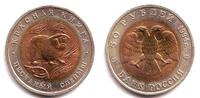 Russland 50 Rubel Sandblindmaus
