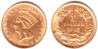 USA 1 Dollar Liberty-Kopf mit Federkrone Picture