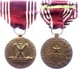 Treuemedaille 1945 USA Treuemedaille am Band prägefrisch/ getragen