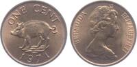 Bermuda 1 Cent Schwein - Tiere -