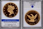 USA 10 Dollar/Replik Liberty Head Eagle - Replik -