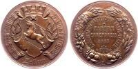 Zabern - Saverne Bronzemedaille Auf die Landwirtschaftlich - Ausstellung in Zabern 1883 - Elsaß-Lothringenß -