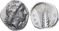 Lucania AR-Didrachme 330/ Metapont -